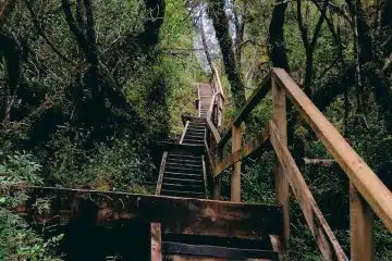 Free stock photo of bridge, chile, countryside