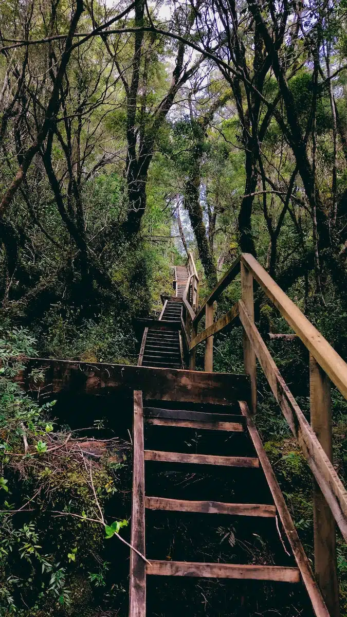 Free stock photo of bridge, chile, countryside