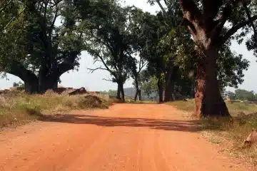 La ville de Ouagadougou, en Burkina Faso : une merveille à explorer