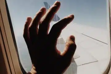 person holding glass of airline